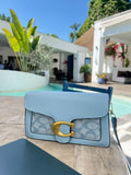 Baby Blue Coach
